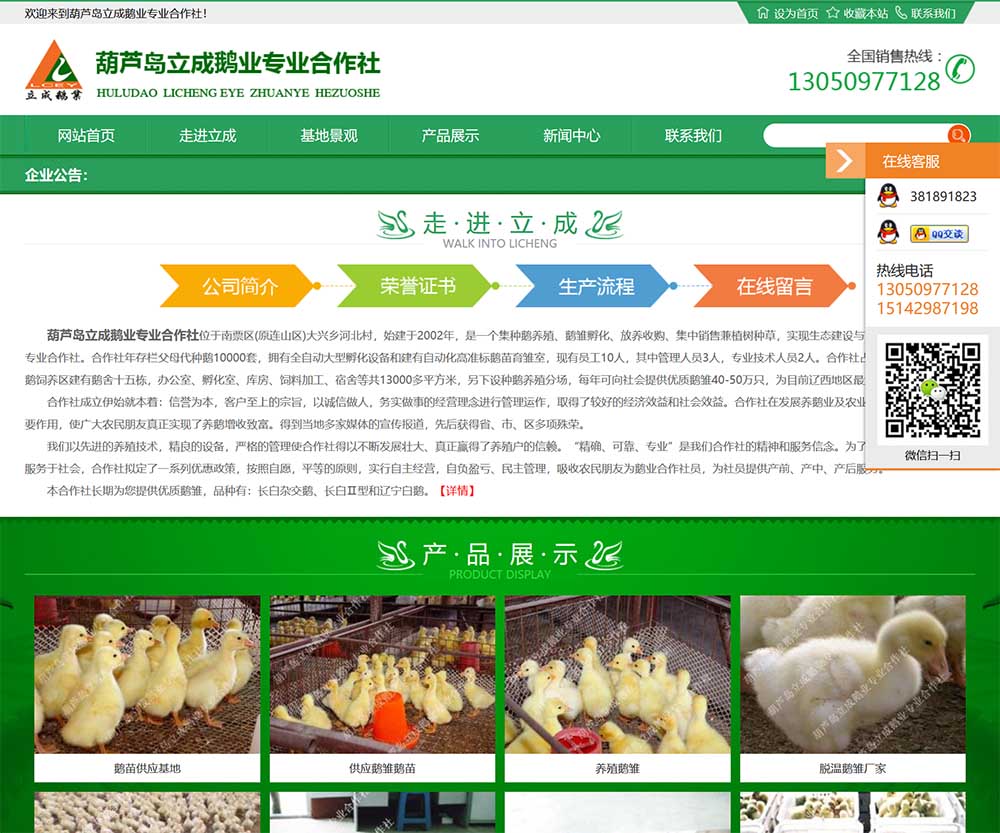 葫蘆島立成鵝業(yè)專業(yè)合作社