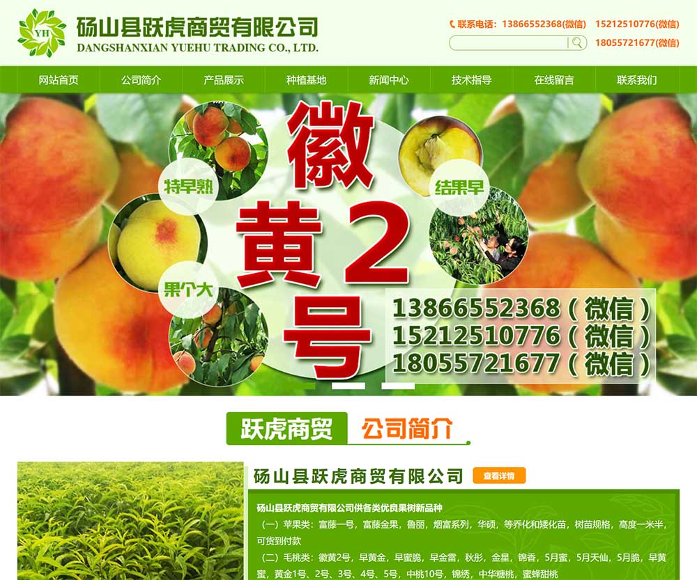 碭山縣躍虎商貿(mào)有限公司