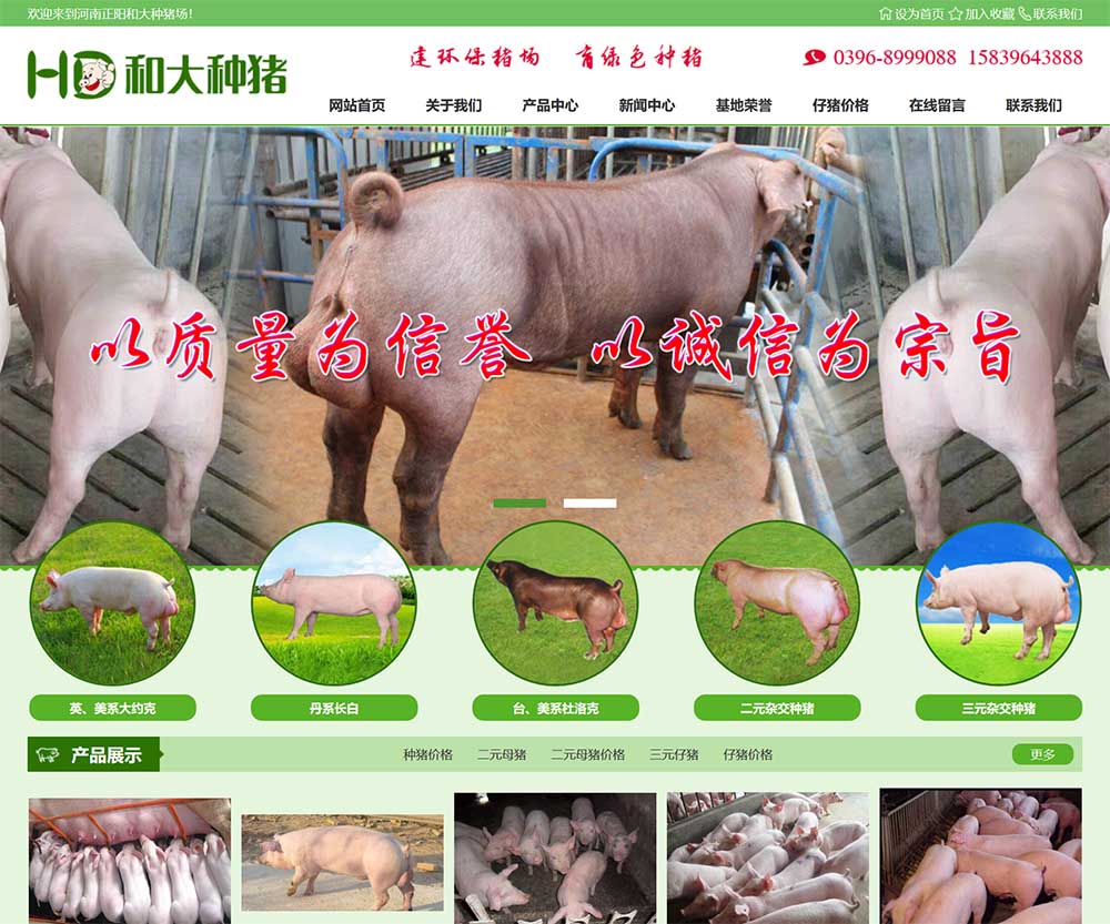 河南正陽(yáng)和大種豬場(chǎng)
